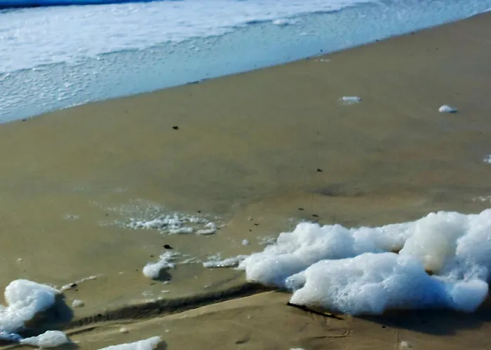 Elegante A Avec Piscine Privee ヴィラ ビスカロッス