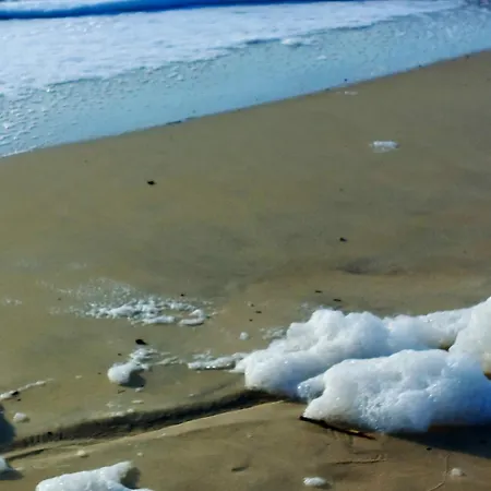 Elegante A Avec Piscine Privee Villa Biscarrosse