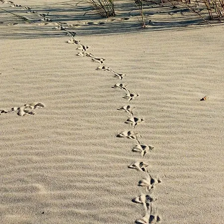Villa Elegante A Avec Piscine Privee