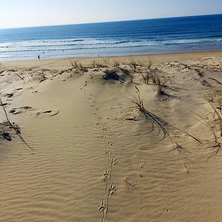 Elegante A Avec Piscine Privee Villa *