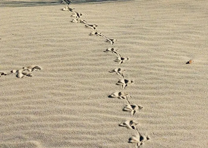 Villa Elegante A Avec Piscine Privee