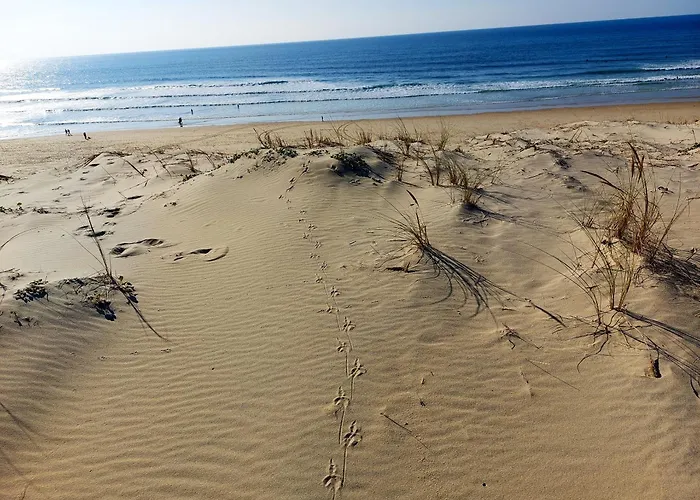 Elegante A Avec Piscine Privee Villa *