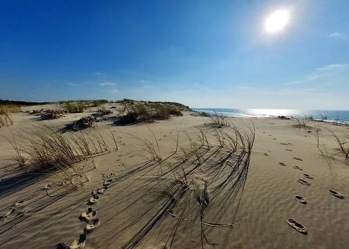 Elegante A Avec Piscine Privee Villa Biscarrosse